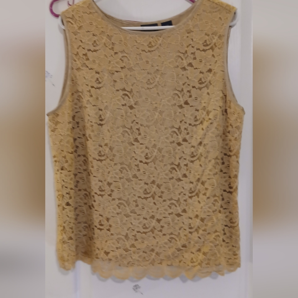 Elegant Gold Lace Sleeveless Top - 18W